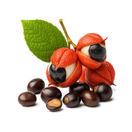 Red fruits with black seeds and a green leaf